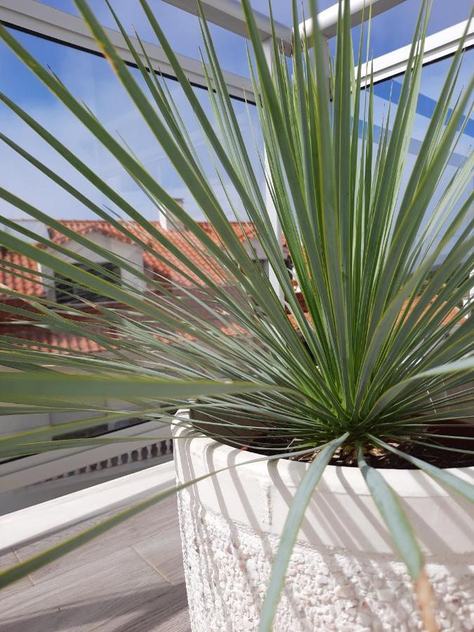Sitius 5B - New Seaview Apartment With Rooftop Terrace In Historical Centre Sitio Da Назаре Екстериор снимка